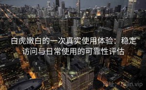 白虎嫩白的一次真实使用体验：稳定访问与日常使用的可靠性评估