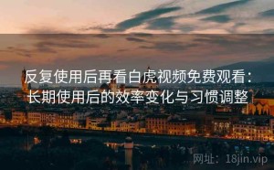 反复使用后再看白虎视频免费观看：长期使用后的效率变化与习惯调整