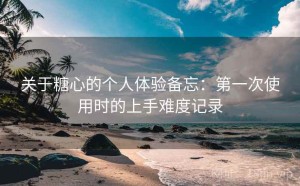 关于糖心的个人体验备忘：第一次使用时的上手难度记录