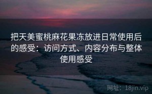 把天美蜜桃麻花果冻放进日常使用后的感受：访问方式、内容分布与整体使用感受