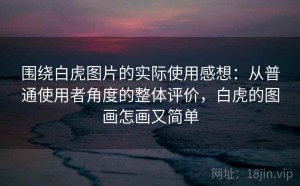 围绕白虎图片的实际使用感想：从普通使用者角度的整体评价，白虎的图画怎画又简单