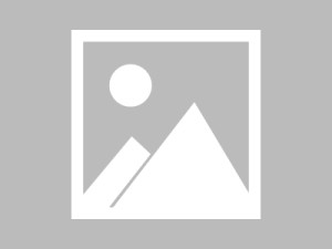 长期使用蘑菇网站后的变化体会：内容呈现方式与主观体验总结，蘑菇网业务