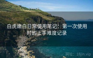 白虎嫩白日常使用笔记：第一次使用时的上手难度记录
