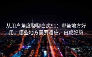 从用户角度聊聊白虎91：哪些地方好用，哪些地方需要适应，白虎好嘛