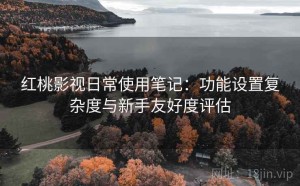 红桃影视日常使用笔记：功能设置复杂度与新手友好度评估