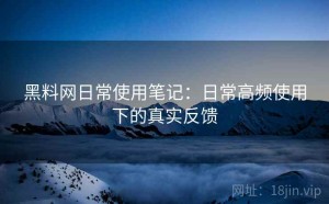 黑料网日常使用笔记：日常高频使用下的真实反馈