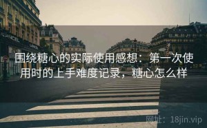 围绕糖心的实际使用感想：第一次使用时的上手难度记录，糖心怎么样