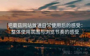 把蘑菇网站放进日常使用后的感受：整体使用氛围与浏览节奏的感受