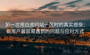 第一次用白虎网站一区时的真实感受：新用户最容易遇到的问题与应对方式