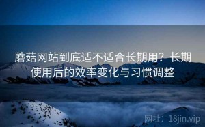 蘑菇网站到底适不适合长期用？长期使用后的效率变化与习惯调整
