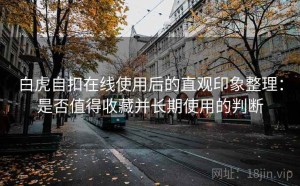 白虎自扣在线使用后的直观印象整理：是否值得收藏并长期使用的判断