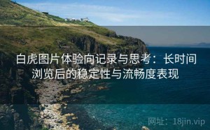 白虎图片体验向记录与思考：长时间浏览后的稳定性与流畅度表现
