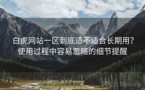 白虎网站一区到底适不适合长期用？使用过程中容易忽略的细节提醒