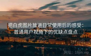把白虎图片放进日常使用后的感受：普通用户视角下的优缺点盘点