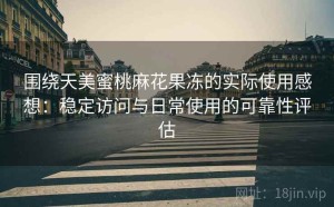 围绕天美蜜桃麻花果冻的实际使用感想：稳定访问与日常使用的可靠性评估