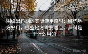 围绕黑料网的实际使用感想：哪些地方好用，哪些地方需要适应，黑料是干什么用的