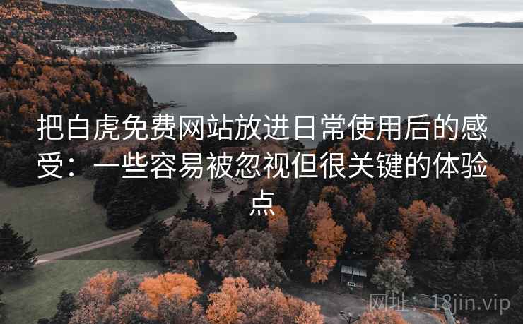 把白虎免费网站放进日常使用后的感受：一些容易被忽视但很关键的体验点