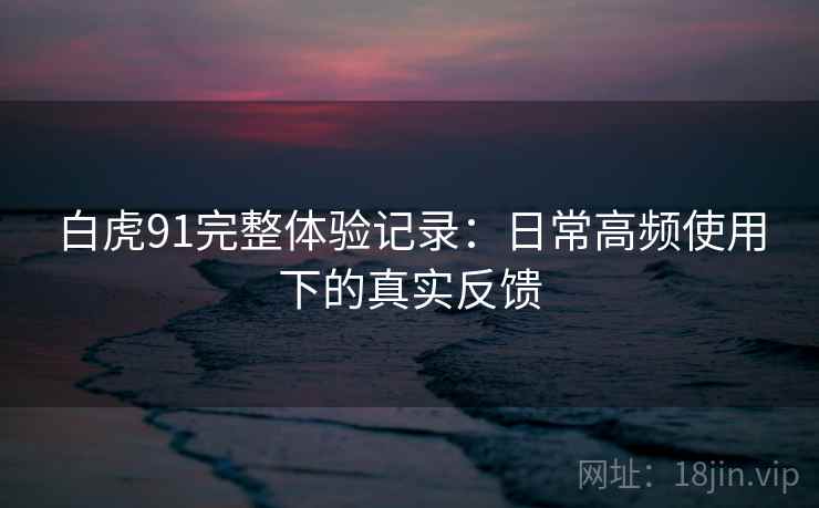白虎91完整体验记录：日常高频使用下的真实反馈