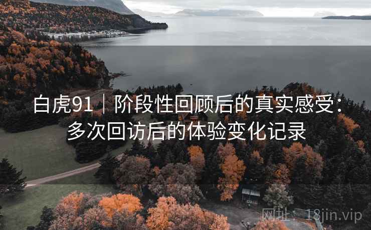 白虎91｜阶段性回顾后的真实感受：多次回访后的体验变化记录