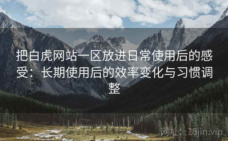 把白虎网站一区放进日常使用后的感受：长期使用后的效率变化与习惯调整