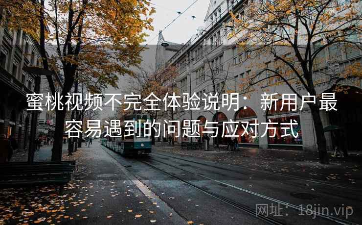 蜜桃视频不完全体验说明：新用户最容易遇到的问题与应对方式