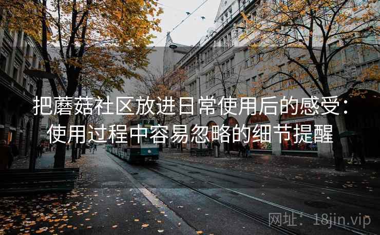 把蘑菇社区放进日常使用后的感受：使用过程中容易忽略的细节提醒