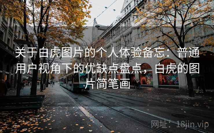 关于白虎图片的个人体验备忘：普通用户视角下的优缺点盘点，白虎的图片简笔画