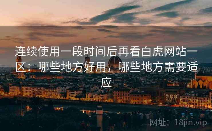 连续使用一段时间后再看白虎网站一区：哪些地方好用，哪些地方需要适应