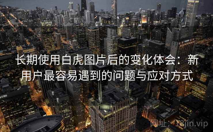 长期使用白虎图片后的变化体会：新用户最容易遇到的问题与应对方式