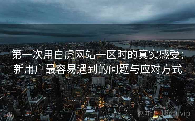 第一次用白虎网站一区时的真实感受：新用户最容易遇到的问题与应对方式