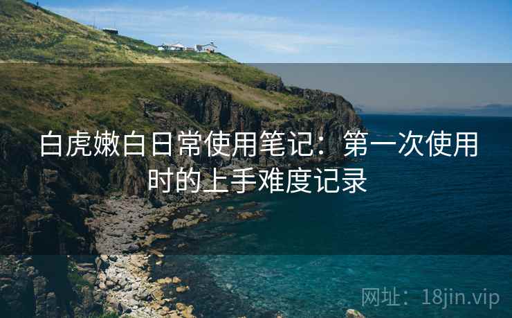 白虎嫩白日常使用笔记：第一次使用时的上手难度记录